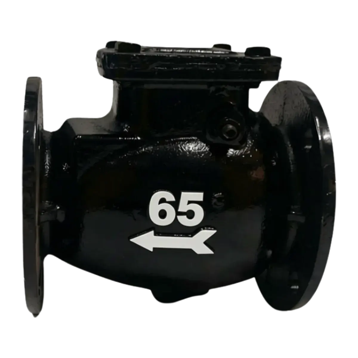 NON RETURN VALVE FLANGED END CI 2-1/2"
