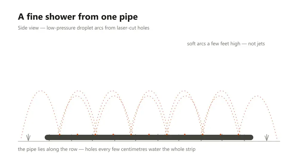 Water arcs rising and falling from a perforated pipe over crop stubble