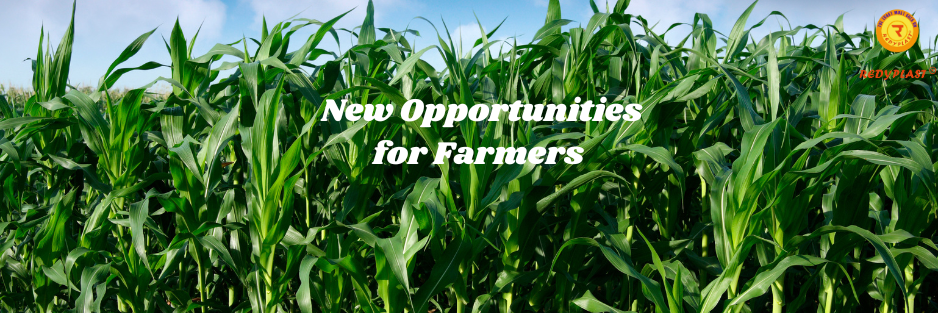 Exploring Emerging Cash Crops: Unlocking New Opportunities for Farmers