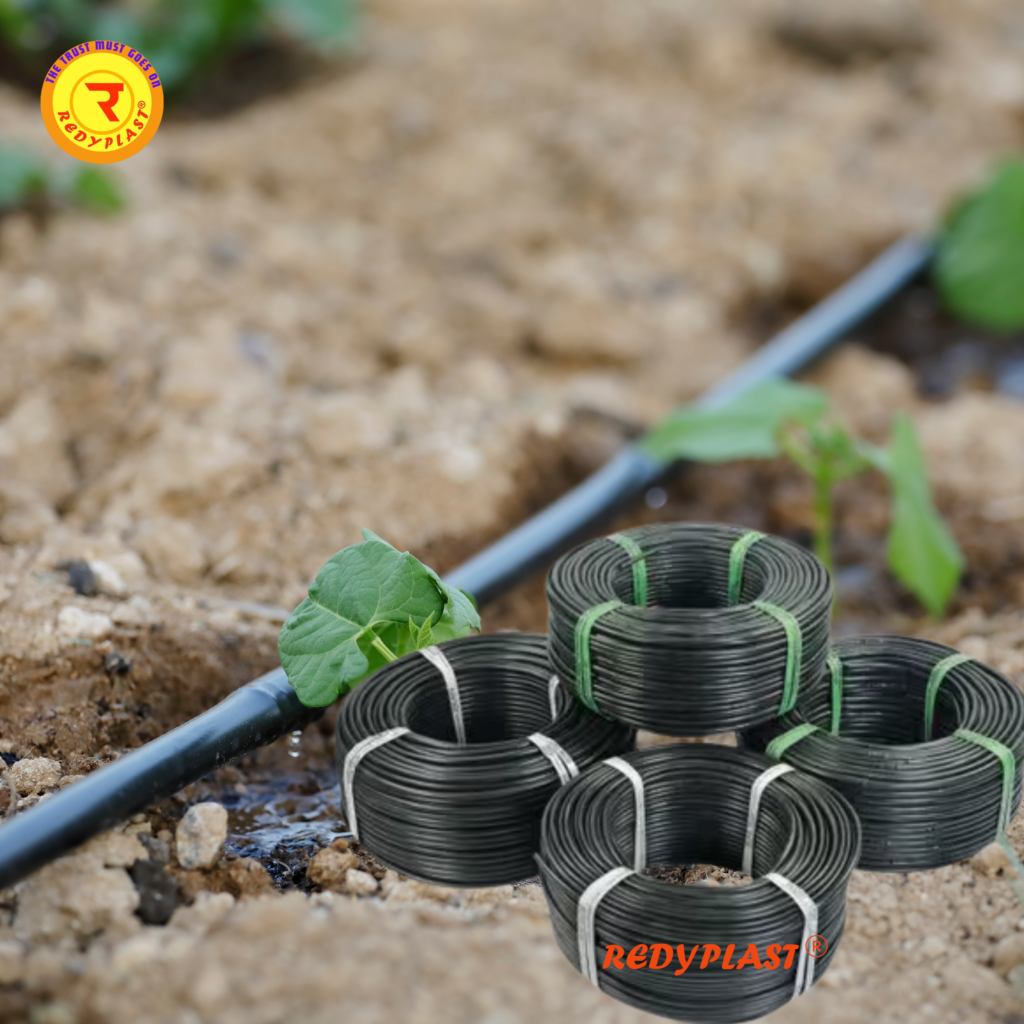 REDYPLAST Drip Irrigation Boosts Organic Farming