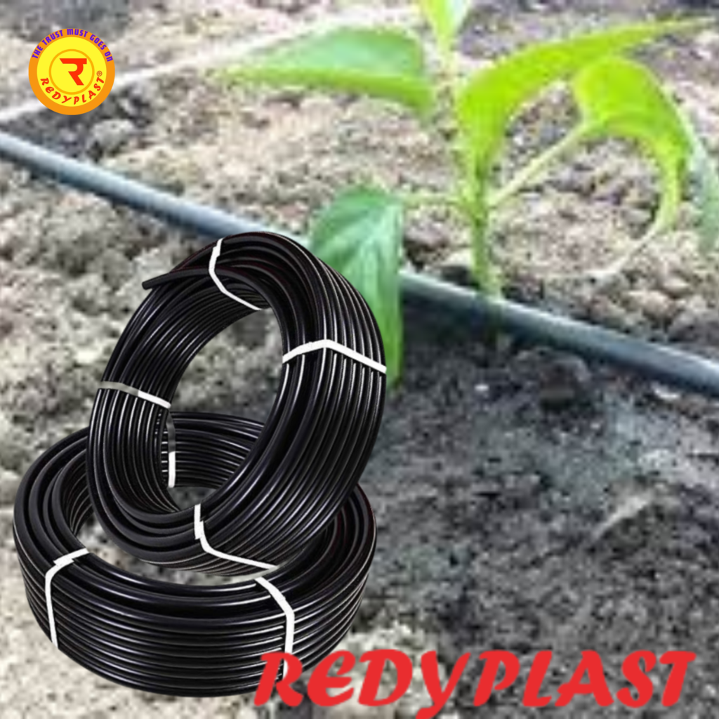 REDYPLAST Drip Irrigation Boosts Organic Farming