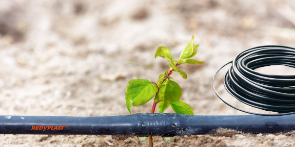 How REDYPLAST Drip Irrigation Boosts Organic Farming Profits in Telangana