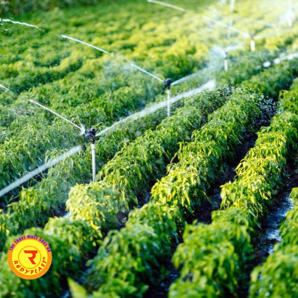 best irrigation for chilli farming Andhra Pradesh