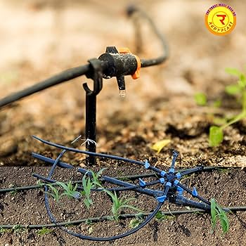 best irrigation for chilli farming in AP & Telangana