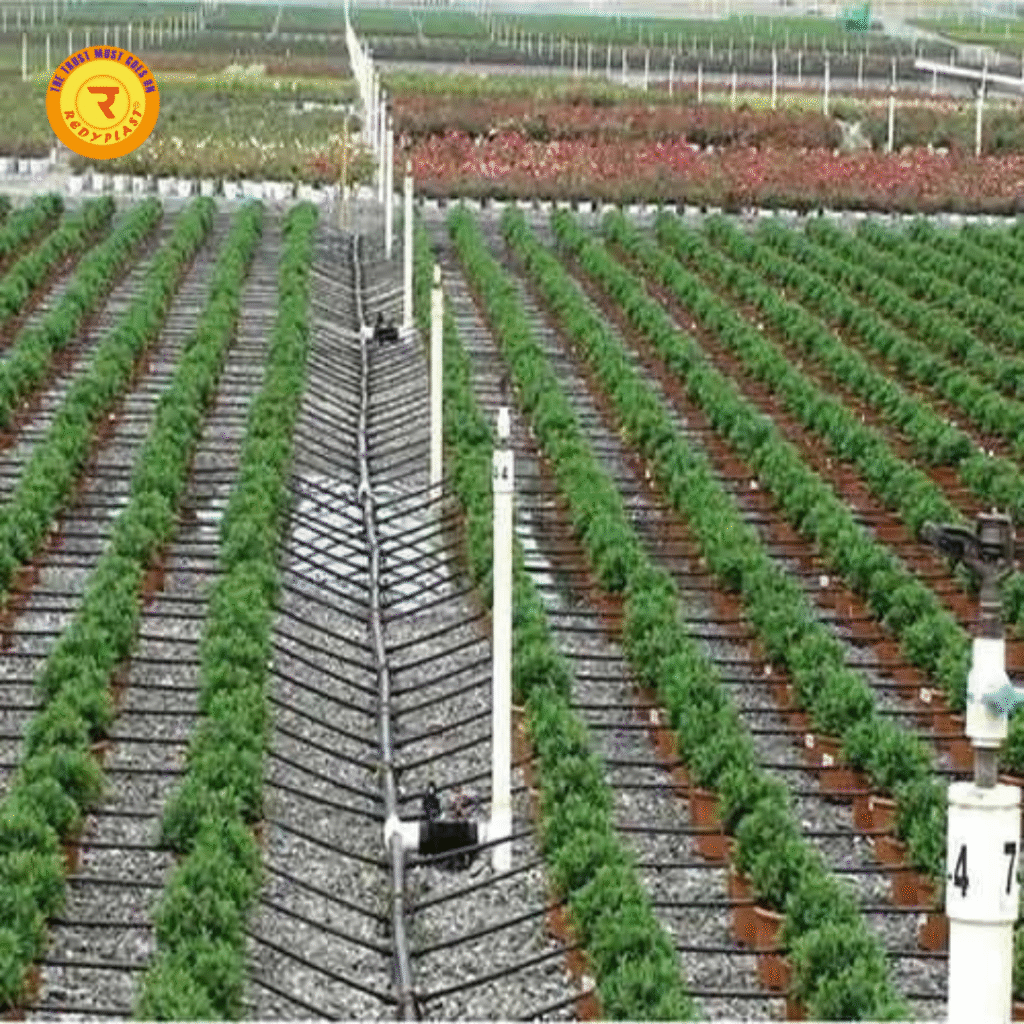 drip irrigation for kitchen garden India