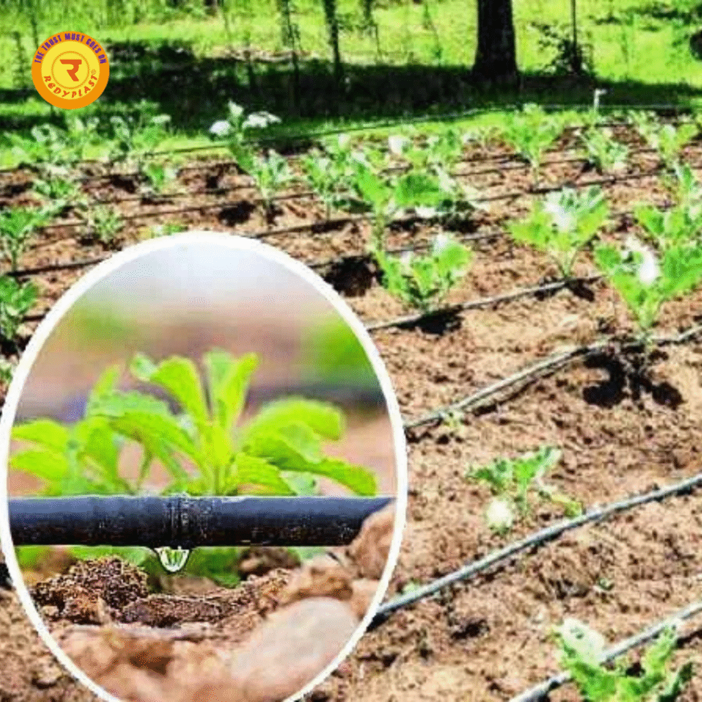 drip irrigation for kitchen garden India
