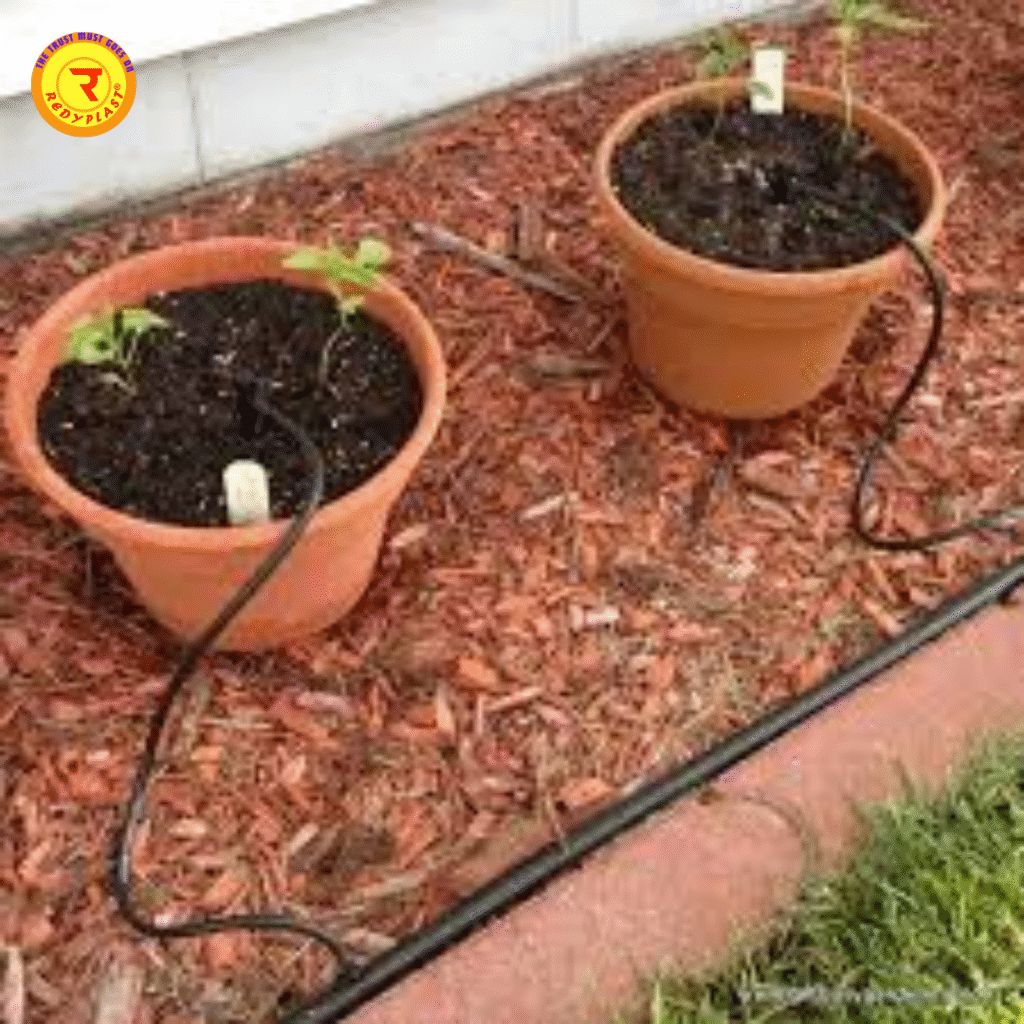drip irrigation for kitchen garden India