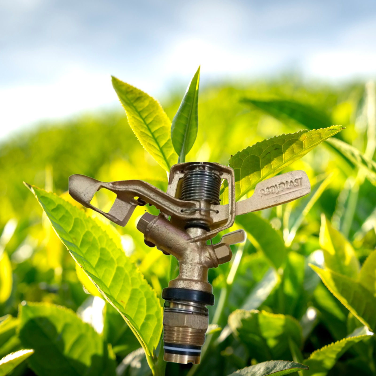 Sprinkler Irrigation